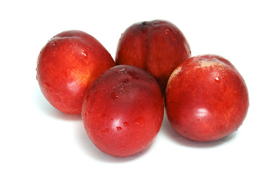 nectarinas