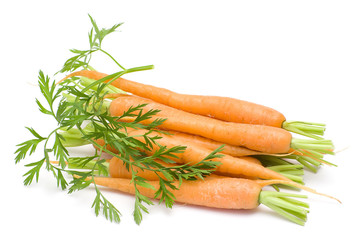 carrots