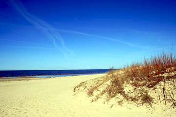 Baltic sea coastline