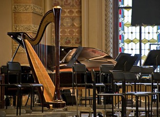 Harp indoor © Leonid Nyshko
