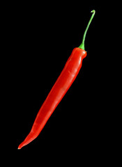Red hot chilli pepper on black background