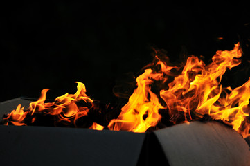 Obraz premium wild fire