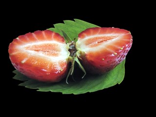 strawberry