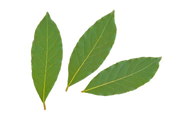 bay leaves