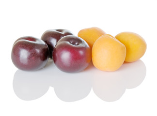 Obraz premium Plums And Apricots