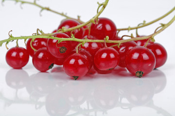 Rote Beeren