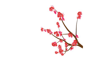 branche fleurie rose