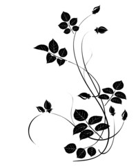 Dekoratives Rosenblüten Ornament schwarz weiss