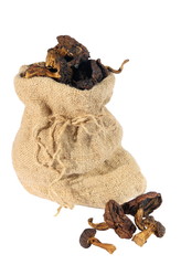 Dried mushrooms in a sack on a white background