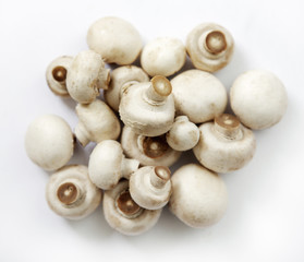 pilze