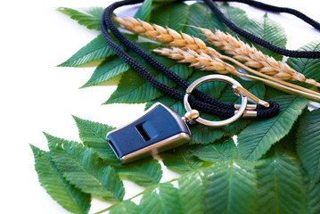leaf and whistle