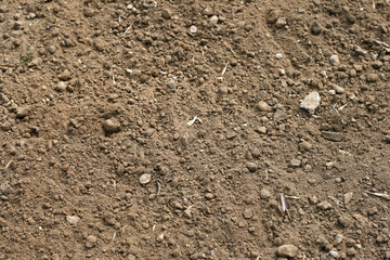 Soil as background