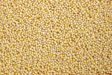Invoice, texture, structure of millet