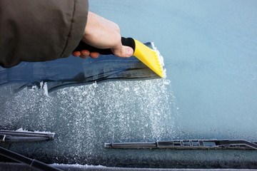 windshield