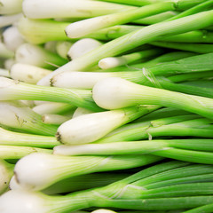 Fototapeta premium Fresh green onions