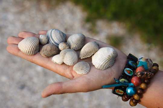 Hand with shells