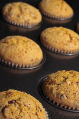 Goldgelbe Muffins