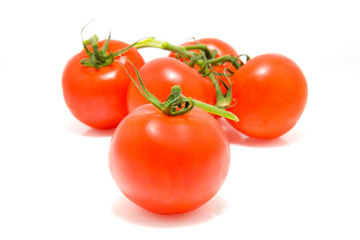 Spray tomatoes isolated on white background