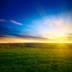 Fototapeta premium spring sunset