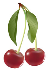 Red fresh cherry on white background.