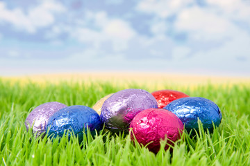 Easter eggs on grass