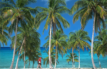 tropical paradise - Cuba