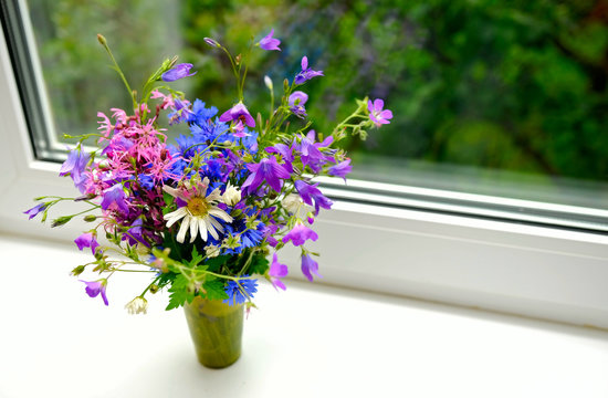 Fototapeta field flowers near the window