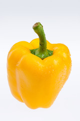 Yellow Pepper
