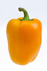 Yellow Pepper