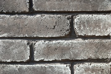 Gray grunge brick wall