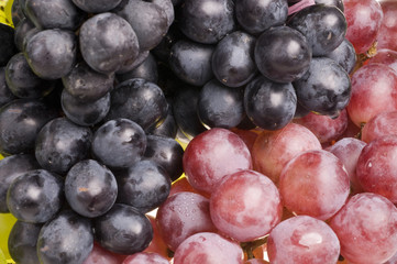 Multicolor grape food background
