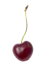 sweet cherry