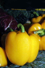 pimiento