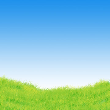 grass