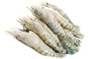 Pile of Shrimps Isolated on White