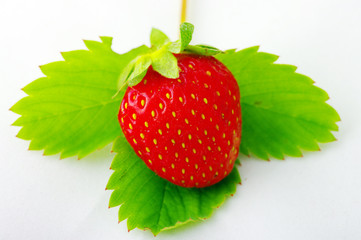 Strawberrie with leaves on white background