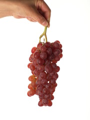 Hand holding grapes