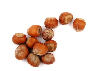 hazelnuts