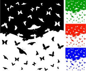the vector butterfly colors background