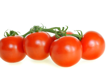 Tomaten 4