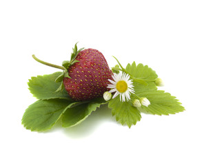 Red strawberry on white isolated
