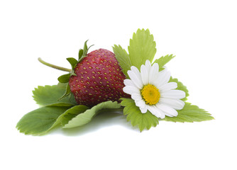 Strawberry and chamomile