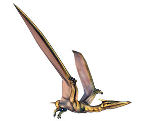 Quetzlcoatlus © Michael Rosskothen