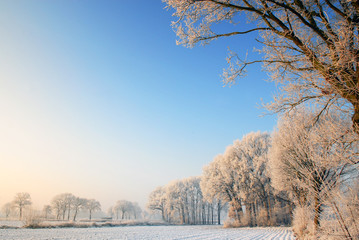 winter landscape in holland - 14891328