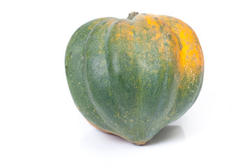 Acorn Squash