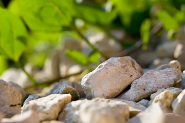Macro white stones and green leaf