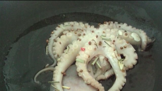 Octopus