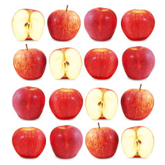 apples 1