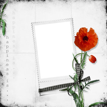 White frame with poppy