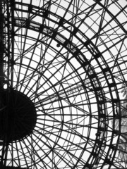 Glass and Steel Greenhouse Structure